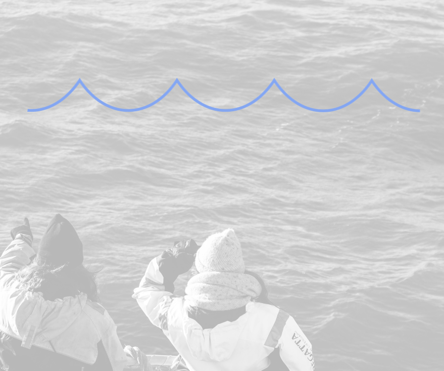 Illustrerar yrkesfiskares resa från båt med våg-grafik.